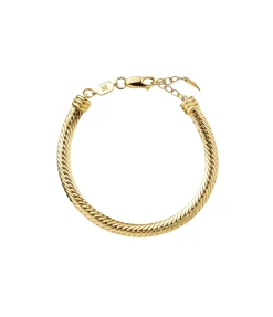 Camail Chain Bracelet In Gold