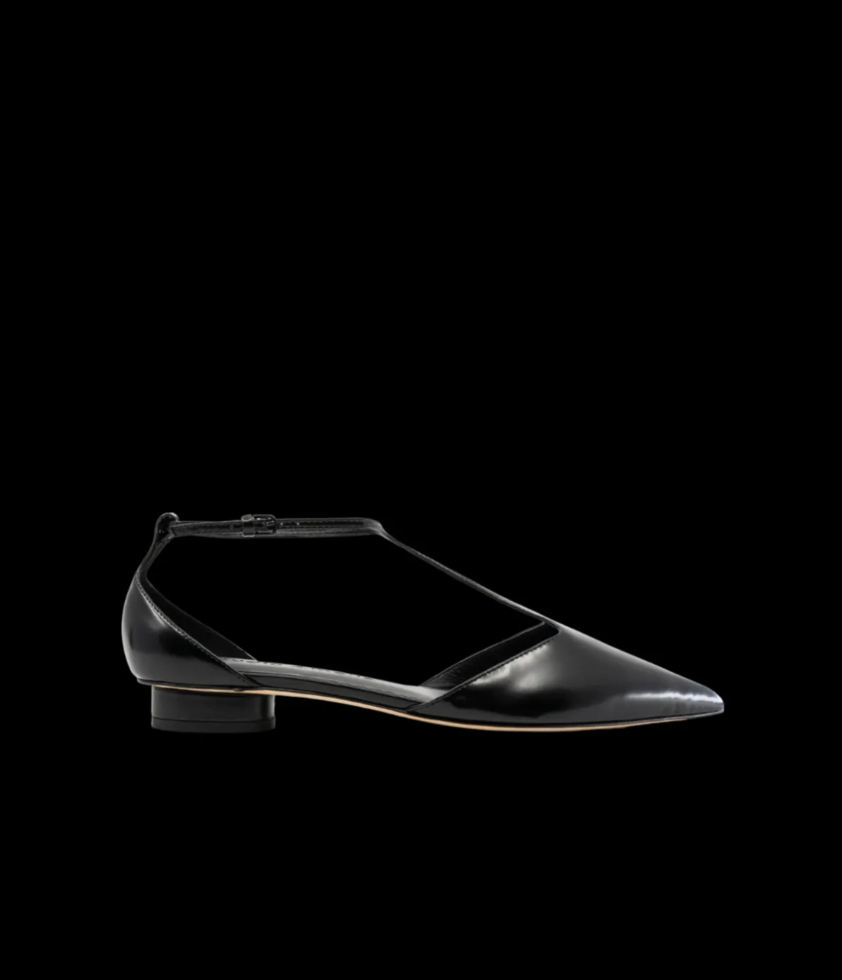Gisele Pointed Flat In Black